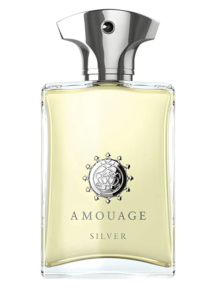 Amouage Silver Eau De Parfum For Men, 100Ml