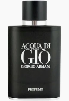 Giorgio Armani Acqua Di Gio Profumo 125ml EDP for Men