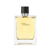 Hermes Terre D'Hermes 100ml EDT for Men